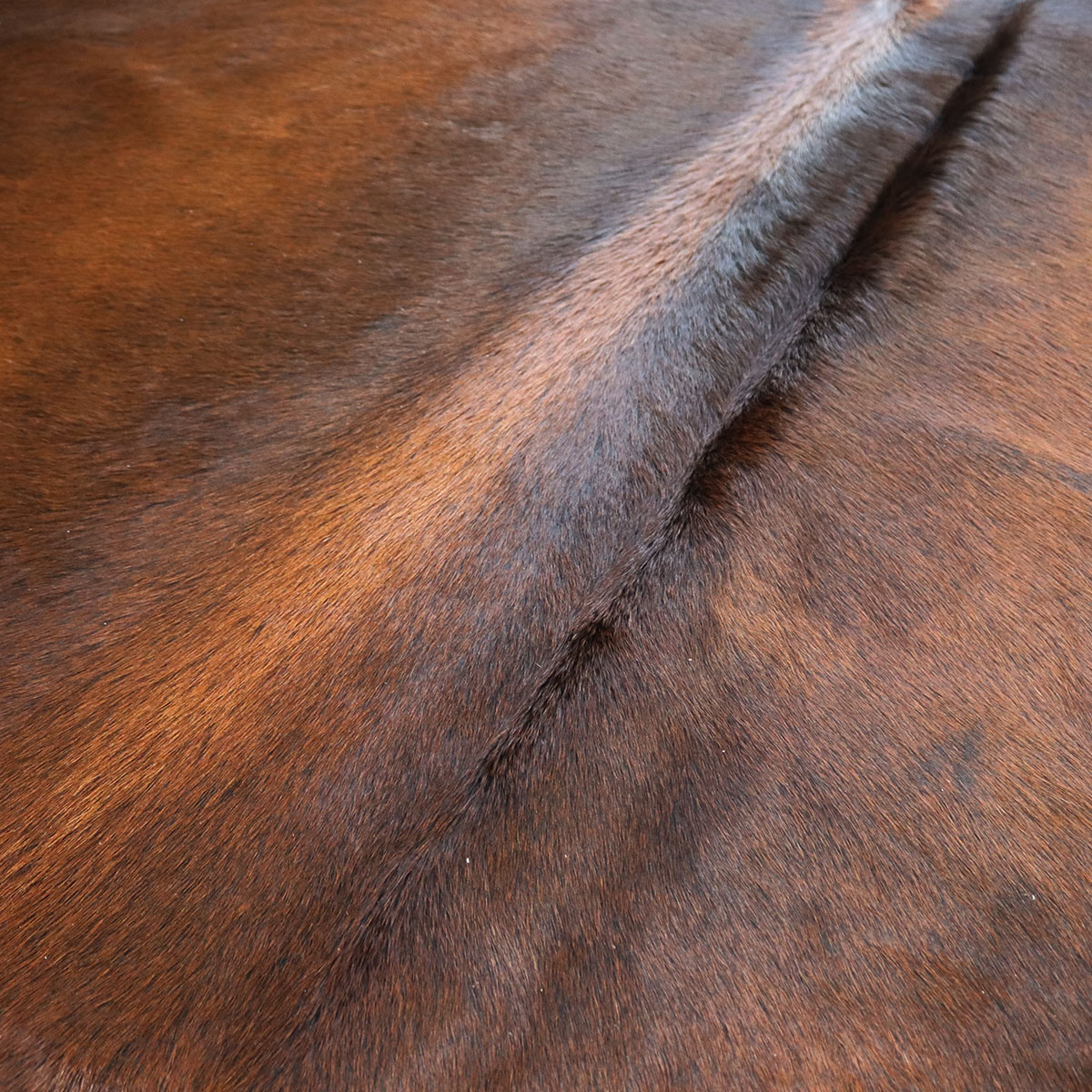 Marhabőr szőnyeg – vöröses 240 × 230 cm – termékfotó 2