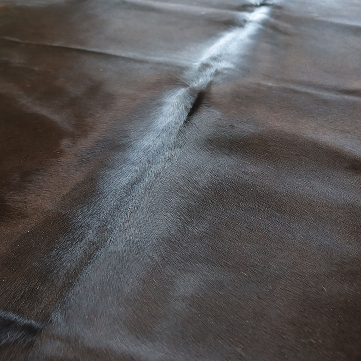 A szőrzet színének és mintázatának részlete – Marhabőr szőnyeg – sötét 220 × 185 cm, SKU 574